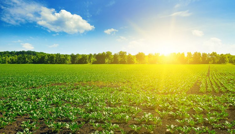 Bayramda hava nasıl olacak