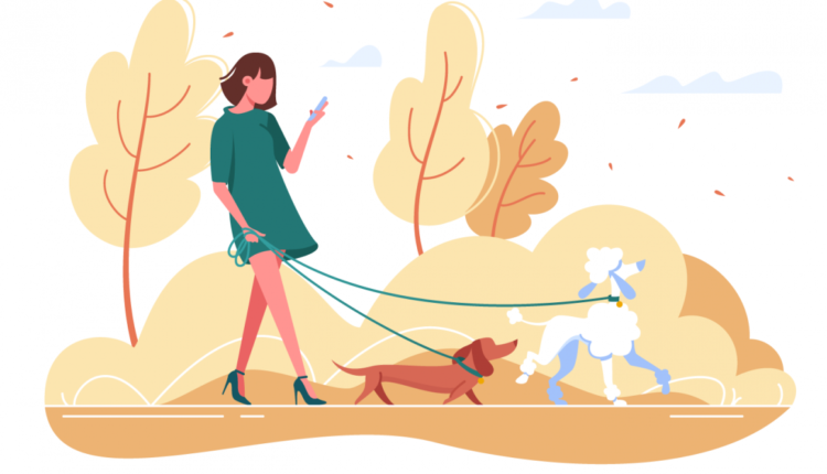 Köpek Fobisi Nasıl Yenilir?