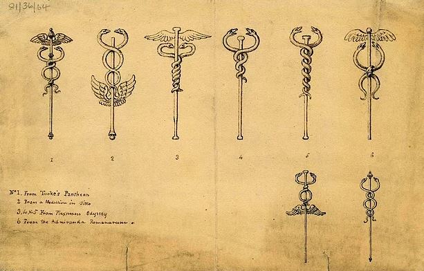 Dünya Sağlık Örgütü Logosunda Neden Yılan Var