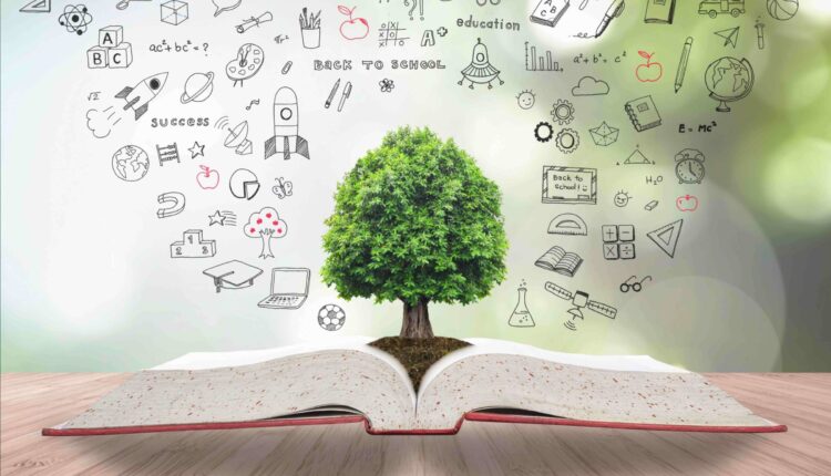 2022 Yılında Eğitim Nasıl Olacak?