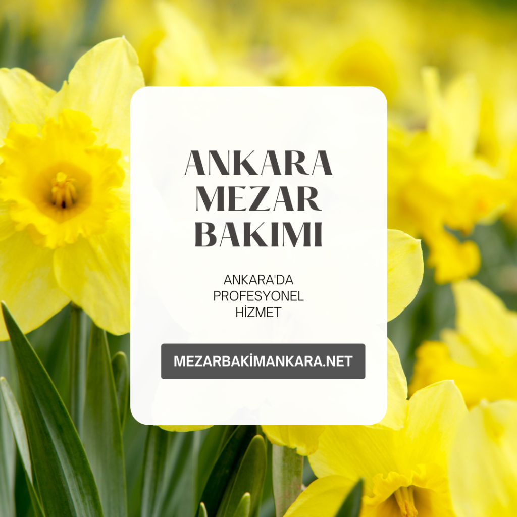 Ankara mezar bakımı